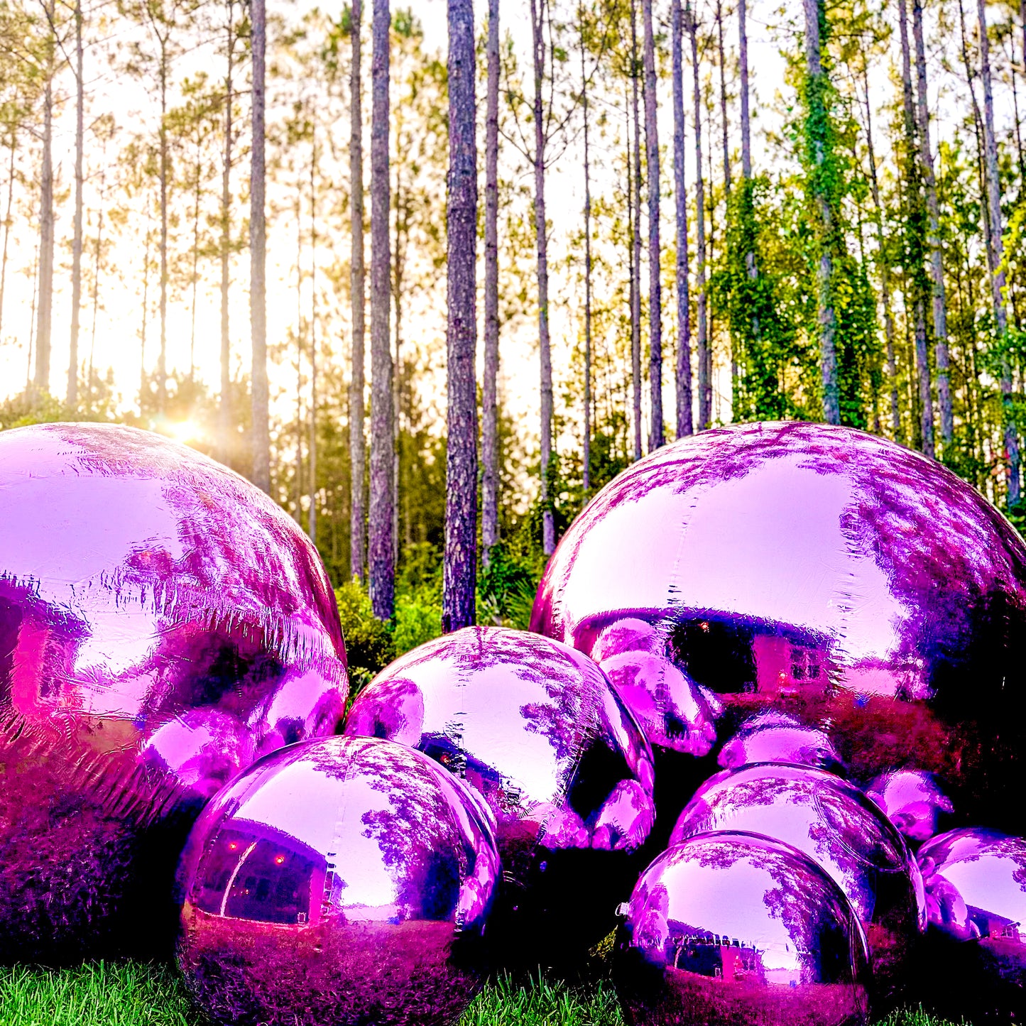 ✨ Build Your Own Bundle ✨ Orchid