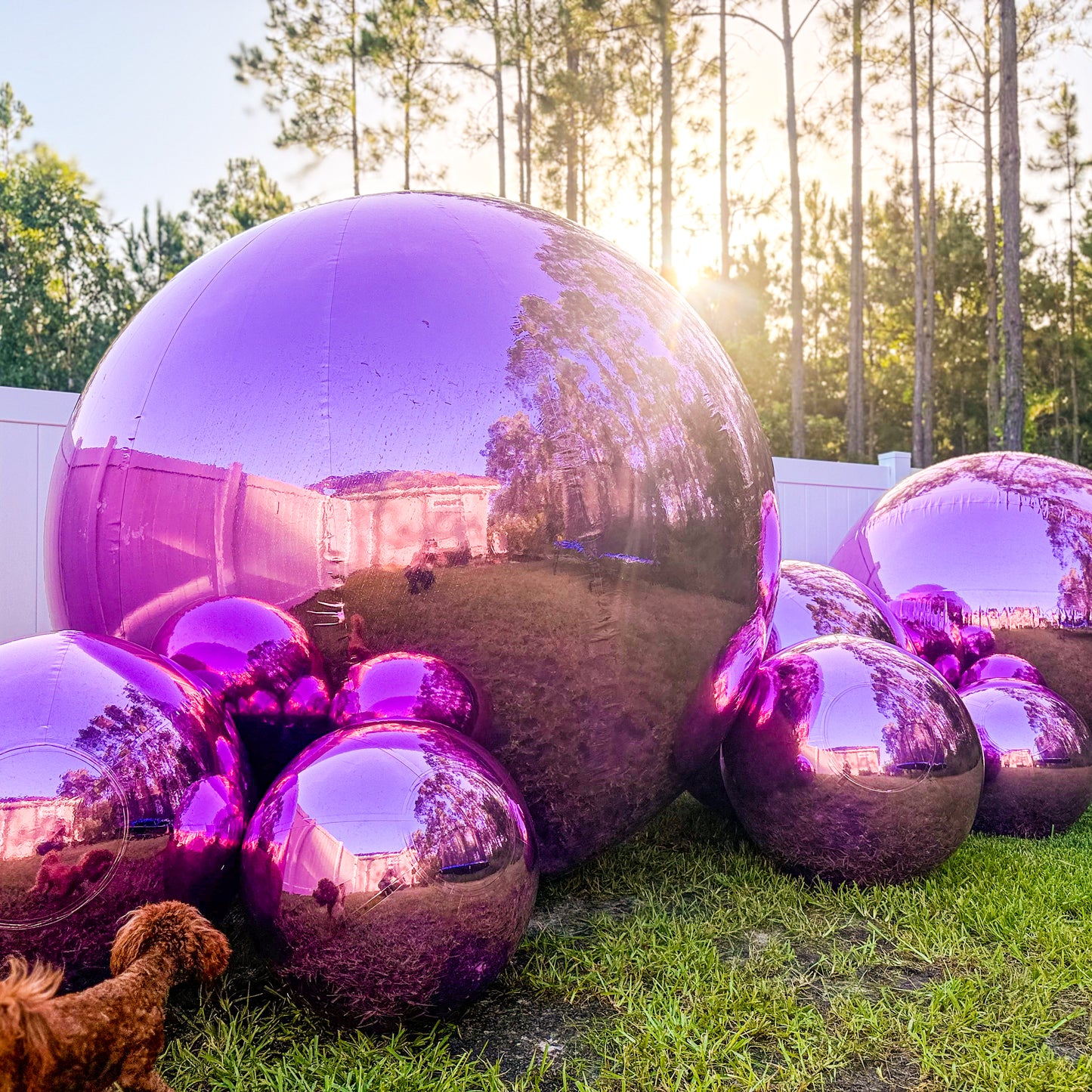 ✨ Build Your Own Bundle ✨ Orchid